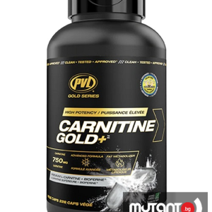 L-Carnitine gold (228caps)